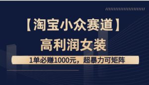 【淘宝小众赛道】高利润女装：1单必赚1000元，超暴力可矩阵-财仔梦想资源网
