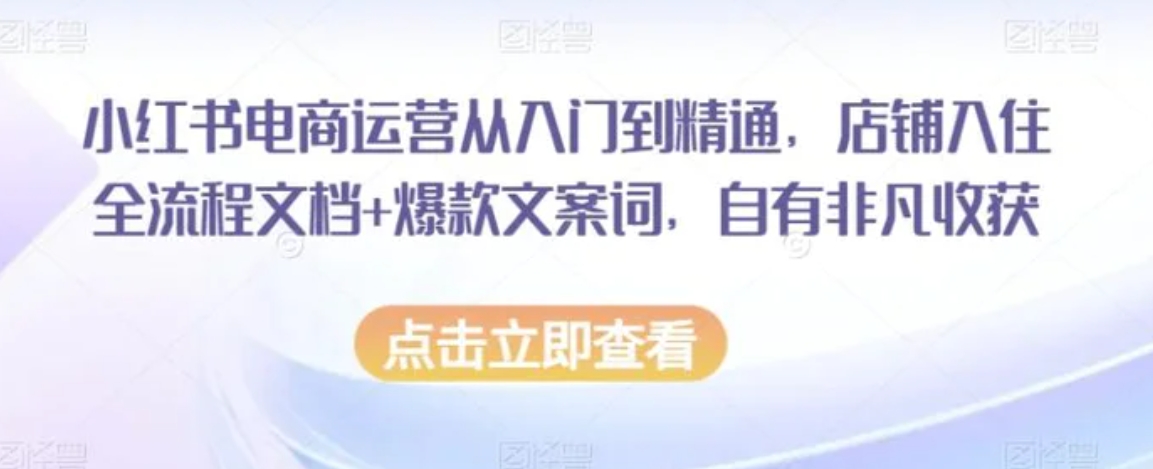 小红书电商运营从入门到精通，店铺入住全流程文档+爆款文案词，自有非凡收获-财仔梦想资源网