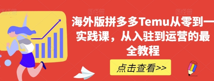 海外版拼多多Temu从零到一实践课，从入驻到运营的最全教程-财仔梦想资源网