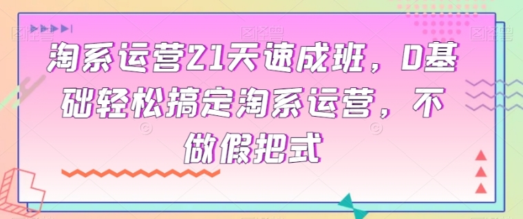 淘系运营21天速成班，0基础轻松搞定淘系运营，不做假把式-财仔梦想资源网