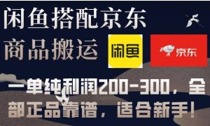 闲鱼搭配京东备份库搬运，一单纯利润200-300，全部正品靠谱，适合新手！-财仔梦想资源网