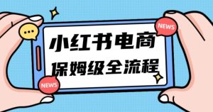 月入5w小红书掘金电商，11月最新玩法，实现弯道超车三天内出单，小白新手也能快速上手-财仔梦想资源网