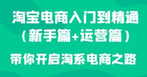 淘宝电商入门到精通带你开启淘系电商之路-财仔梦想资源网