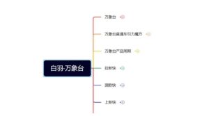 白羽·直引万搜索全篇，从0-1，多个类目实操经验总结付费-财仔梦想资源网