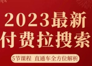 淘系2023最新付费拉搜索实操打法，​5节课程直通车全方位解析-财仔梦想资源网