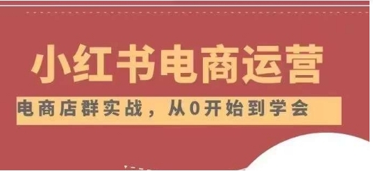 小红书店铺运营从小白到大神2.0，从入门到精通-财仔梦想资源网