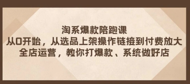 淘系爆款陪跑课 从选品上架操作链接到付费放大 全店运营 打爆款 系统做好店-财仔梦想资源网