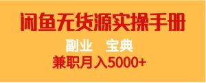副业宝典 兼职月入5000+ 闲鱼无货源实操手册-财仔梦想资源网
