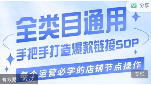 单品爆款打造实操运营，单品爆款从“0”-“1”手把手演练运营步骤-财仔梦想资源网