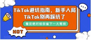 TikTok·避坑指南，新手入局Tk别再踩坑了-财仔梦想资源网
