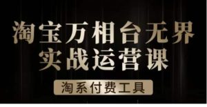 沧海·淘系万相台无界实战运营课，万相台无界实操全案例解析-财仔梦想资源网
