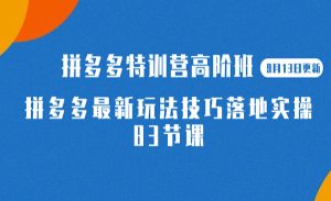 《拼多多最新玩法技巧落地实操》-财仔梦想资源网