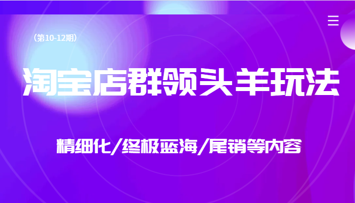 淘宝店群领头羊玩法，精细化/终极蓝海/尾销等内容-财仔梦想资源网