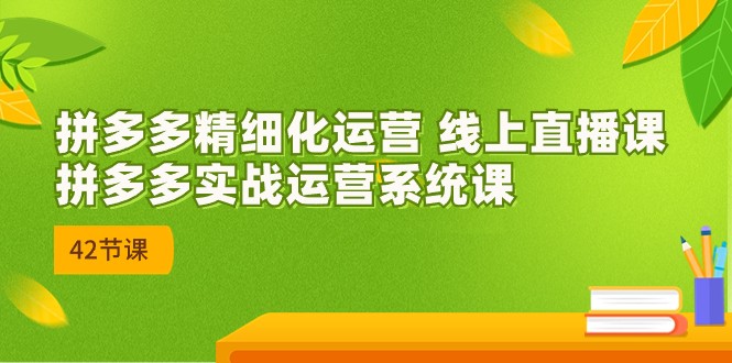 2023年8月新课-拼多多精细化运营 线上直播课：拼多多实战运营系统课-42节-财仔梦想资源网