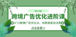 跨境广告·优化进阶课·第23期，8*15数模广告优化法，用数据驱动决策-财仔梦想资源网
