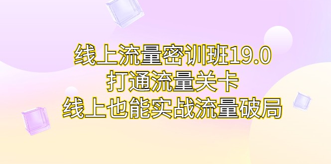 线上流量密训班19.0，打通流量关卡，线上也能实战流量破局-财仔梦想资源网