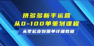 拼多多新手运营从0-100单策划课程，从零起步到爆单详细教程-财仔梦想资源网