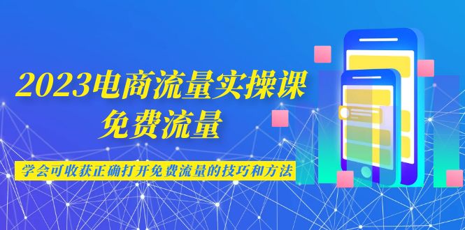 2023电商流量实操课-免费流量，学会可收获正确打开免费流量的技巧和方法-财仔梦想资源网
