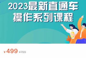 2023最新引力魔方系列课程，如何利用直通车去冲销量-财仔梦想资源网