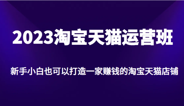 2023淘宝天猫运营班，新手小白也可以打造一家赚钱的淘宝天猫店铺-财仔梦想资源网