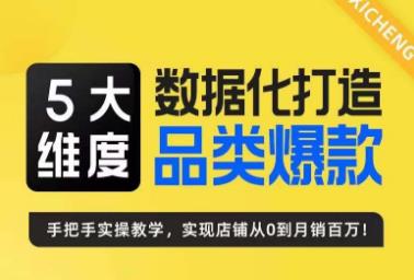5大维度，数据化打造电商品类爆款特训营，一套高效运营爆款方法论-财仔梦想资源网