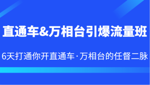 直通车&万相台引爆流量班 6天打通你开直通车·万相台的任督二脉-财仔梦想资源网