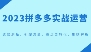 2023拼多多实战运营，选款测品、引爆流量、高点击转化、规则解析-财仔梦想资源网