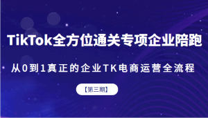 TikTok全方位通关专项企业陪跑【第三期】，从0到1真正的企业TK电商运营全流-财仔梦想资源网