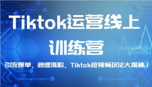 Tiktok运营线上训练营，引流爆单，急速涨粉，Tiktok短视频玩法大揭秘！-财仔梦想资源网