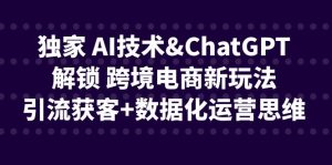 独家 AI技术&ChatGPT解锁 跨境电商新玩法，引流获客+数据化运营思维-财仔梦想资源网