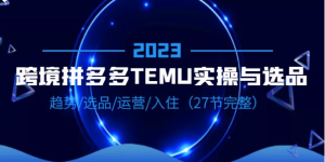 2023跨境·拼多多·TEMU实操与选品，趋势·选品·运营·入住-财仔梦想资源网