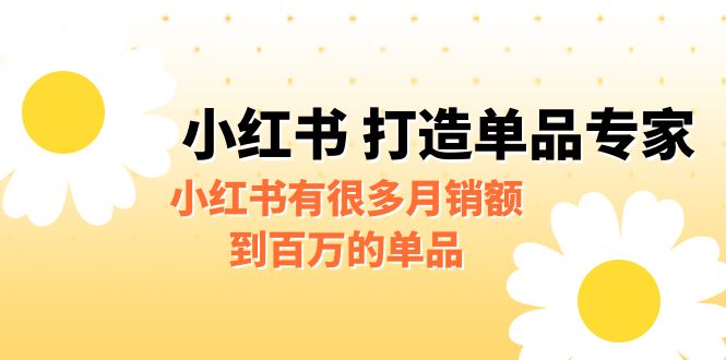 某公众号付费文章《小红书 打造单品专家》小红书有很多月销额到百万的单品-财仔梦想资源网