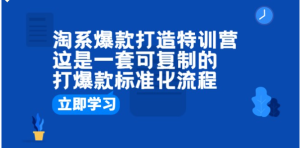 淘系爆款打造特训营：这是一套可复制的打爆款标准化流程-财仔梦想资源网
