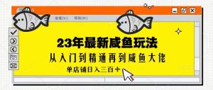 2023最新闲鱼实战课，从入门到精通再到闲鱼大佬，单号日入300+-财仔梦想资源网