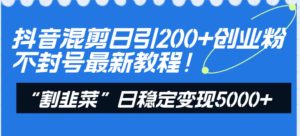 抖音混剪日引200+创业粉不封号最新教程！“割韭菜”日稳定变现5000+！-财仔梦想资源网