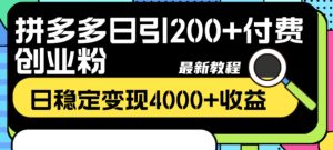 拼多多日引200+付费创业粉，日稳定变现4000+收益最新教程-财仔梦想资源网