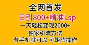 全网首发！日引800+精准老色批，一天变现2000+，独家引流方法，可矩阵操作【揭秘】-财仔梦想资源网