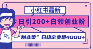 小红书最新日引200+创业粉”割韭菜“日稳定变现4000+实操教程!-财仔梦想资源网