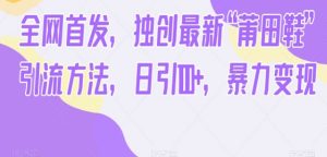 《独创最新“莆田鞋”引流方法》日引100+，暴力变现-财仔梦想资源网