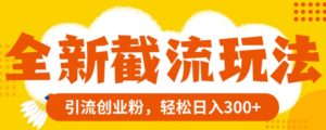 全新截流玩法，精准引流创业粉，轻松日入300+-财仔梦想资源网
