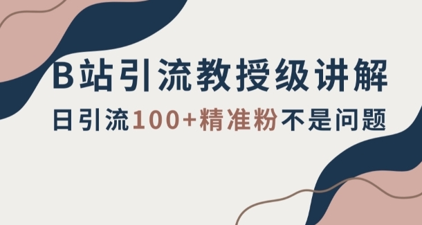 B站引流教授级讲解，细节满满，日引流100+精准粉不是问题【揭秘】-财仔梦想资源网