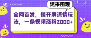 全网首发，慢开屏深情玩法，一条视频涨粉2000+【揭秘】-财仔梦想资源网