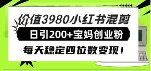 价值3980小红书混剪日引200+宝妈创业粉，每天稳定四位数变现！-财仔梦想资源网