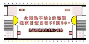 全网最干的b站视频独家引流日引50到80+流量视频很长请耐心看完-财仔梦想资源网