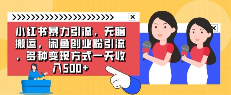小红书暴力引流，无脑搬运，闲鱼创业粉引流，多种变现方式一天收入500-财仔梦想资源网
