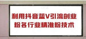 利用抖音蓝V引流创业粉各行业精准粉技术-财仔梦想资源网