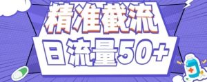 用这个方法每天截流精准粉50+-财仔梦想资源网