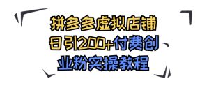 拼多多虚拟店铺日引200+付费创业粉实操教程-财仔梦想资源网