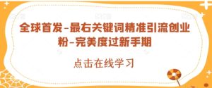 全球首发-最右关键词精准引流创业粉-完美度过新手期【揭秘】-财仔梦想资源网