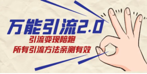 绅白·万能引流2.0，引流变现陪跑，所有引流方法亲测有效-财仔梦想资源网